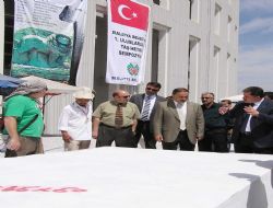 1. Uluslar Arası Taş Heykel Sempozyumu başladı 